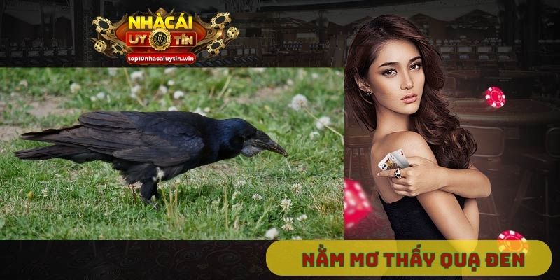 nằm mơ thấy quạ đen